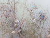 20180309_113513