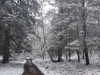 20180318_101459